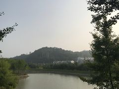 -千年银杏谷文化旅游区