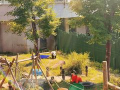 -沈阳森林动物园