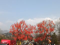 -沂蒙山旅游区龟蒙景区