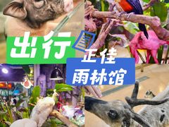 -正佳雨林生态植物园