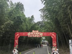 -都江堰中华大熊猫苑