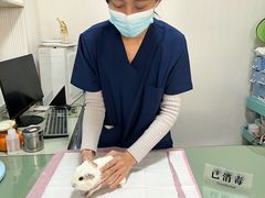 -守诺宠物医院·眼科· 特色牙科·异宠专科(虹口店)