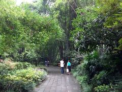 android_upload_pic-望江楼公园