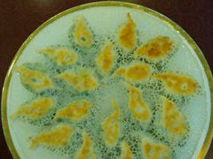 android_upload_pic-老边饺子馆(中街店)