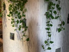 -醉霖生态餐厅(交大店)