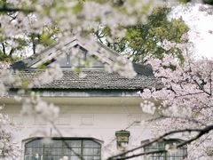 -武汉大学-樱园