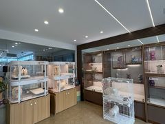 -翊宠yipet猫狗购宠庄园犬舍•猫舍