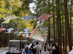 -日照海滨国家森林公园