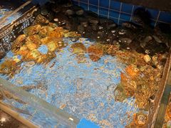 -青蓬蒸汽海鲜·深圳老字号·团建聚会(壹方城店)