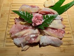 -雲顺·花菇朵·野生菌锅·云南美食(万柳店)