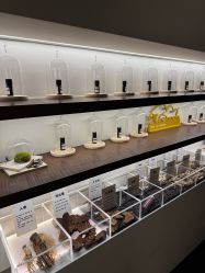 -禾美科技美肤·芳香疗愈SPA联合会所