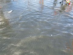 -江山半岛白浪滩景区