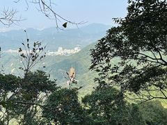 -梧桐山风景名胜区