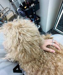 -Hair Co.一间沙龙