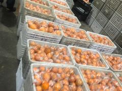 -菜园坝水果市场