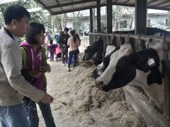 -瑞穗牧场