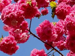 -昆明市金殿名胜区