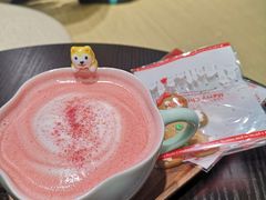 -逗柴咖啡屋·狗咖猫咖宠物桌游