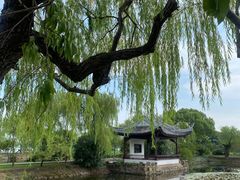 -无锡蠡湖国家湿地公园-蠡园