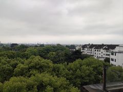 -顽啤熊·酒客酒馆(苏城夜景必选店)