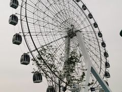 -七桥瓮公园