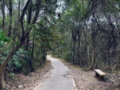 -青龙山国家森林公园