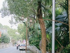 -南山植物园
