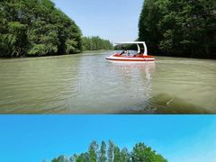-上海海湾国家森林公园
