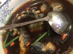 酒炖河鳗-星龙海鲜(望江东路店)