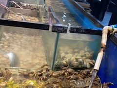 -遇上西雅图多融合海鲜自助餐厅(中房金谊广场店)