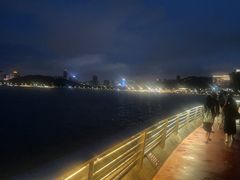 -野狸岛
