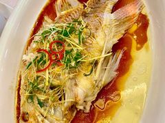 清蒸石斑鱼-寻味顺德·珍之宝酒楼(银钻店)
