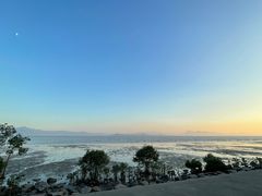 -深圳湾公园(南山区)