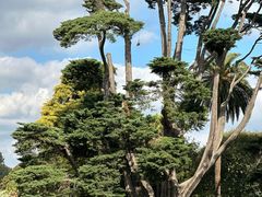 -墨尔本皇家植物园