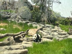 -宁波野生动物园