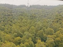 -灵山
