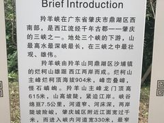 -羚羊峡古栈道森林公园