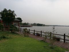 -鹅湖玫瑰文化园