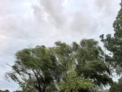-上海月湖雕塑公园
