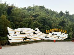 -西双版纳原始森林公园