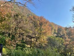 -广州市石门国家森林公园