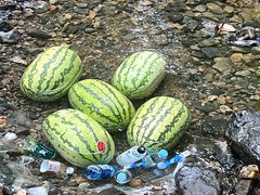 -石台牯牛降景区