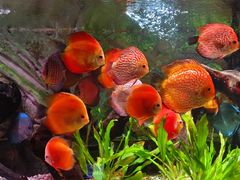 -上海海洋水族馆