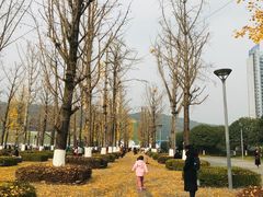 -百林公园-两江幸福广场