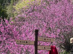 -天台山赤城山景区