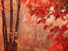 -快乐琴弦音乐舞蹈艺术教育中心(马连道校区)