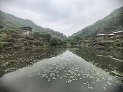 -桃花岭景区