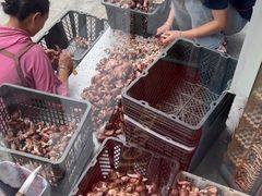 -野菌王牦牛肉汤锅