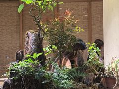 -蟹家大院(外滩店)