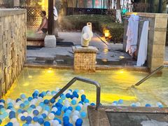 -春晖园度假酒店温泉